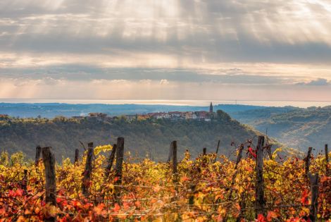 Entdecken Sie das istrische Hinterland